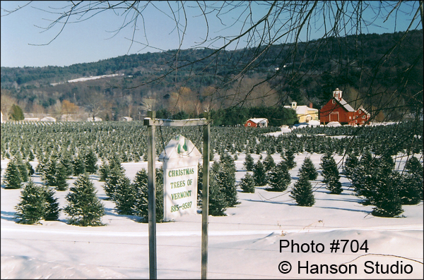 Springfield, VT - Vermont Christmas Tree Farm